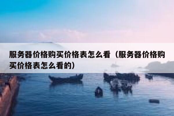 服务器价格购买价格表怎么看(服务器价格购买价格表怎么看的) 第1张 服务器价格购买价格表怎么看(服务器价格购买价格表怎么看的) 第1张