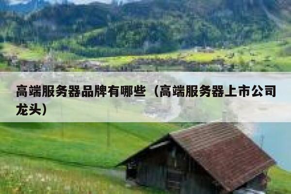 高端服务器品牌有哪些（高端服务器上市公司龙头） 第1张