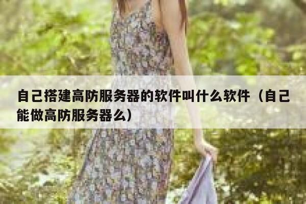 自己搭建高防服务器的软件叫什么软件（自己能做高防服务器么） 第1张
