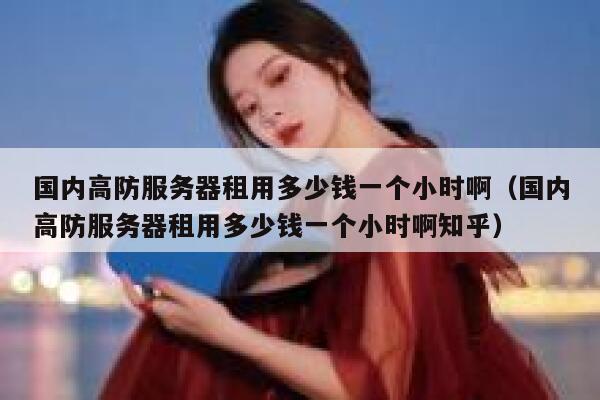 国内高防服务器租用多少钱一个小时啊(国内高防服务器租用多少钱一个小时啊知乎) 第1张 国内高防服务器租用多少钱一个小时啊(国内高防服务器租用多少钱一个小时啊知乎) 第1张