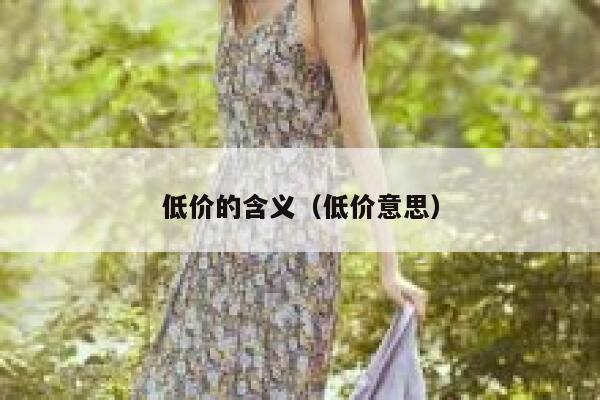 低价的含义（低价意思） 第1张