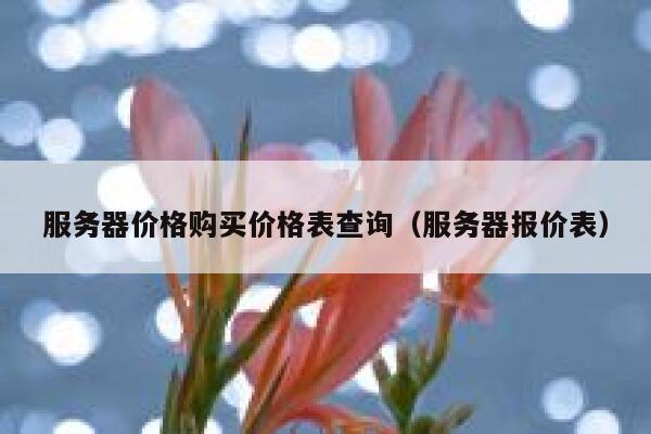 服务器价格购买价格表查询（服务器报价表） 第1张