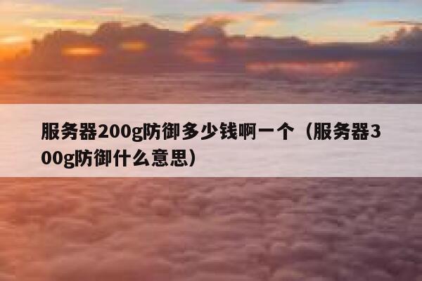服务器200g防御多少钱啊一个（服务器300g防御什么意思） 第1张