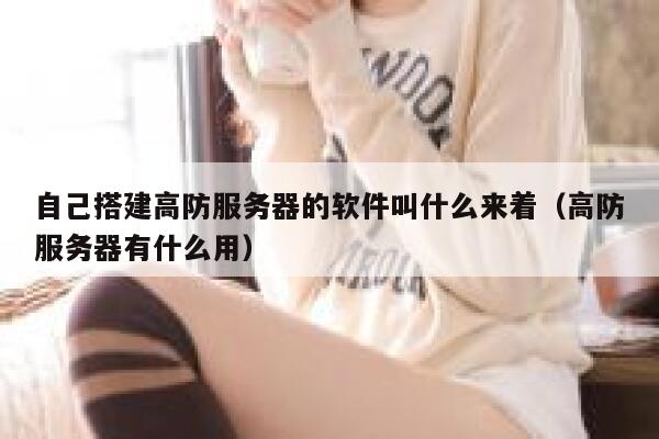 自己搭建高防服务器的软件叫什么来着（高防服务器有什么用） 第1张