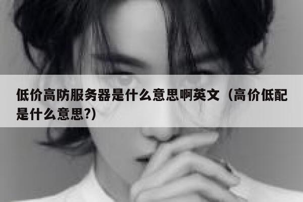 低价高防服务器是什么意思啊英文（高价低配是什么意思?） 第1张