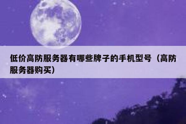 低价高防服务器有哪些牌子的手机型号(高防服务器购买) 第1张 低价高防服务器有哪些牌子的手机型号(高防服务器购买) 第1张