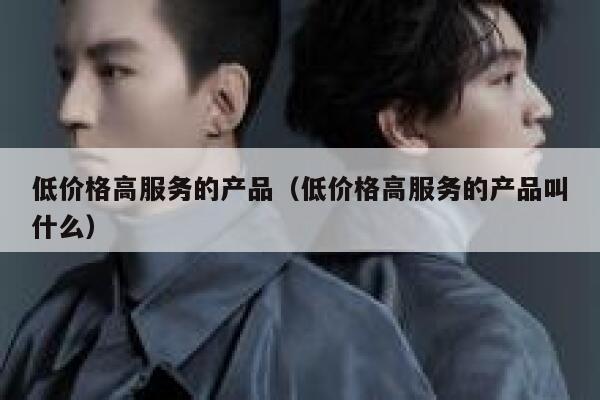 低价格高服务的产品（低价格高服务的产品叫什么） 第1张