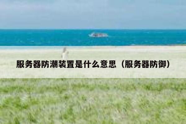 服务器防潮装置是什么意思（服务器防御） 第1张