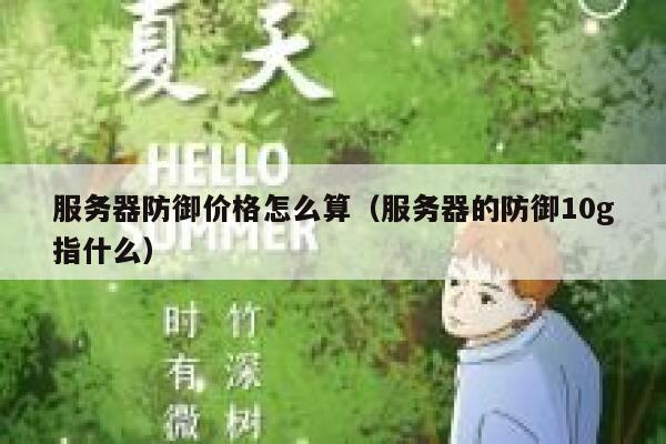 服务器防御价格怎么算（服务器的防御10g指什么） 第1张