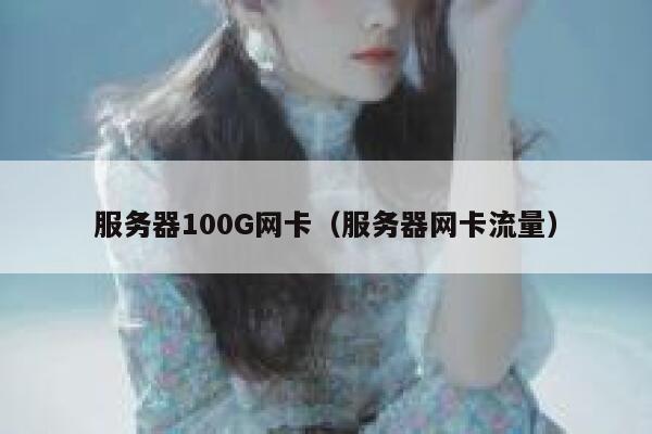 服务器100G网卡（服务器网卡流量） 第1张