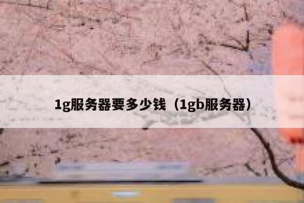 1g服务器要多少钱（1gb服务器） 第1张