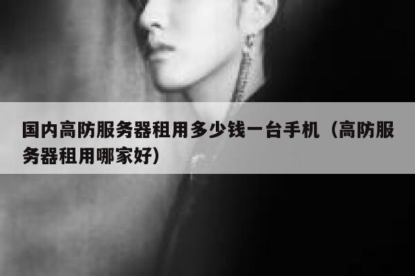 国内高防服务器租用多少钱一台手机（高防服务器租用哪家好） 第1张