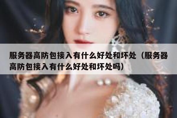 服务器高防包接入有什么好处和坏处（服务器高防包接入有什么好处和坏处吗） 第1张