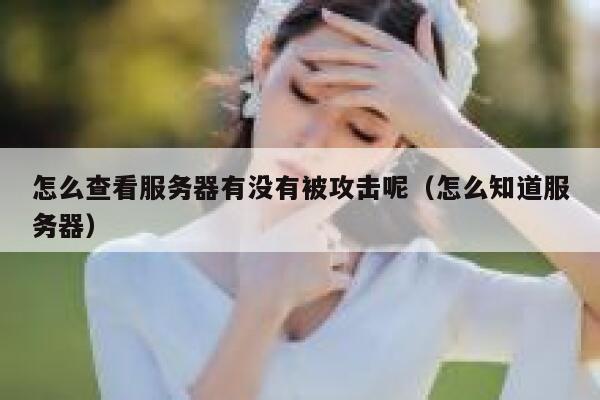 怎么查看服务器有没有被攻击呢(怎么知道服务器) 第1张 怎么查看服务器有没有被攻击呢(怎么知道服务器) 第1张