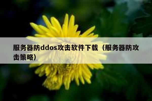 服务器防ddos攻击软件下载（服务器防攻击策略） 第1张