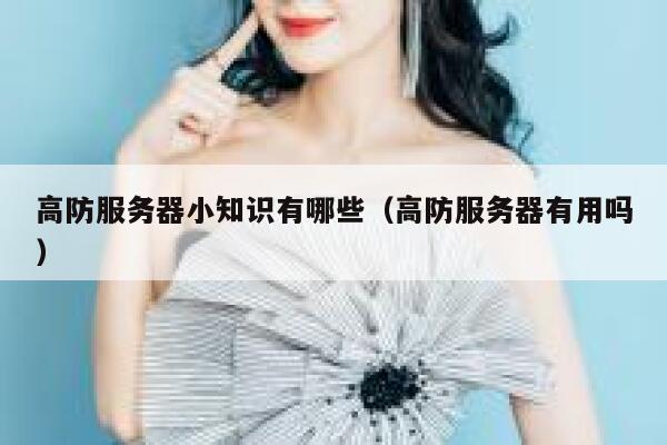高防服务器小知识有哪些（高防服务器有用吗） 第1张