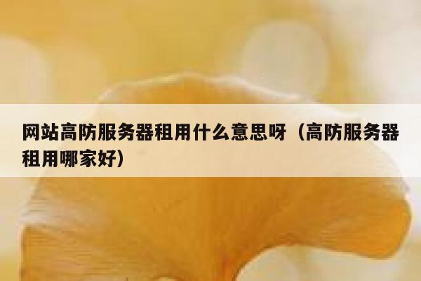 网站高防服务器租用什么意思呀（高防服务器租用哪家好） 第1张