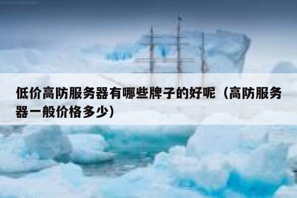 低价高防服务器有哪些牌子的好呢（高防服务器一般价格多少） 第1张