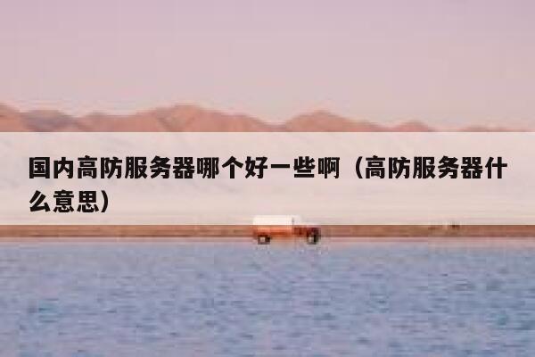国内高防服务器哪个好一些啊（高防服务器什么意思） 第1张