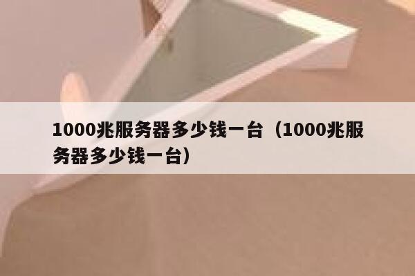1000兆服务器多少钱一台（1000兆服务器多少钱一台） 第1张