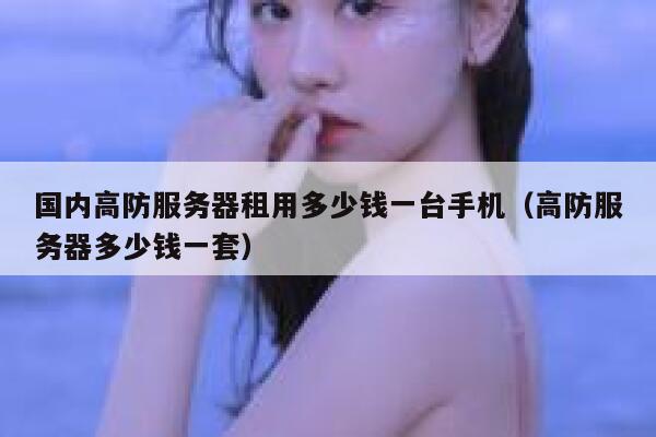 国内高防服务器租用多少钱一台手机（高防服务器多少钱一套） 第1张