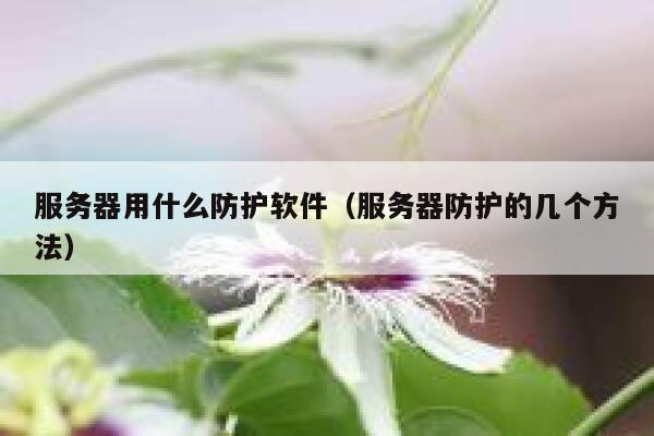 服务器用什么防护软件（服务器防护的几个方法） 第1张