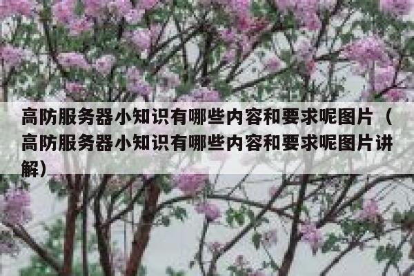 高防服务器小知识有哪些内容和要求呢图片（高防服务器小知识有哪些内容和要求呢图片讲解） 第1张