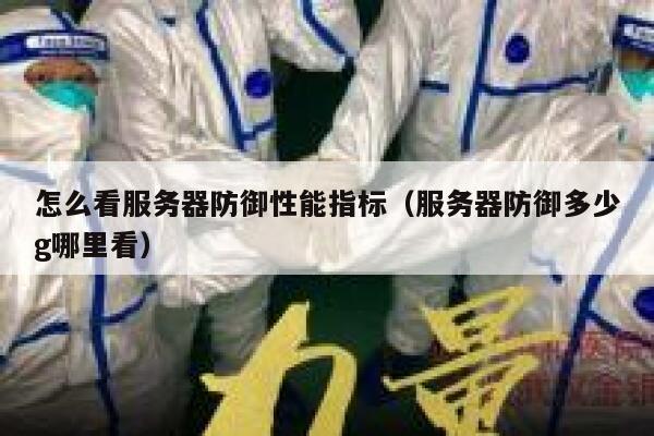 怎么看服务器防御性能指标（服务器防御多少g哪里看） 第1张