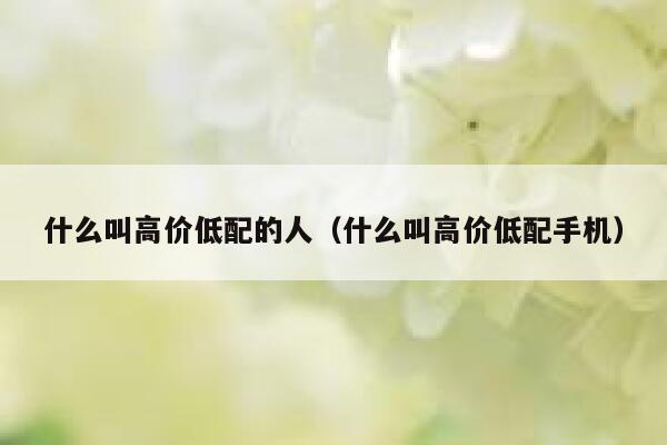 什么叫高价低配的人（什么叫高价低配手机） 第1张