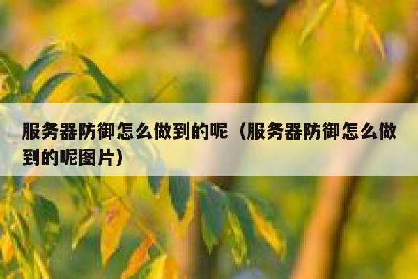 服务器防御怎么做到的呢（服务器防御怎么做到的呢图片） 第1张