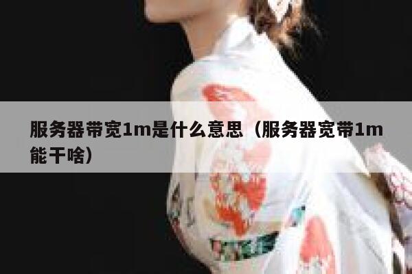 服务器带宽1m是什么意思（服务器宽带1m能干啥） 第1张