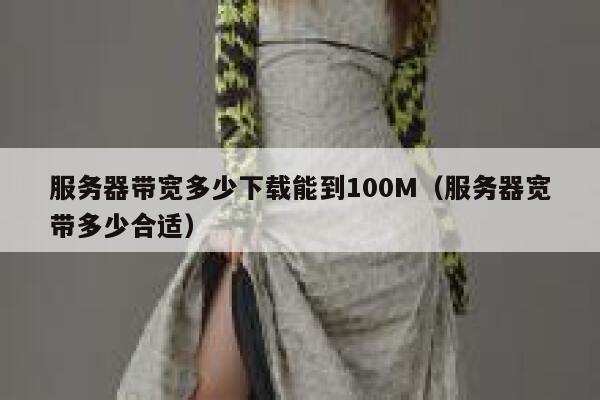 服务器带宽多少下载能到100M（服务器宽带多少合适） 第1张