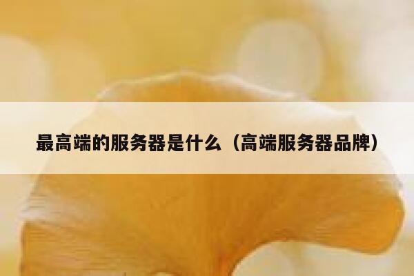 最高端的服务器是什么（高端服务器品牌） 第1张