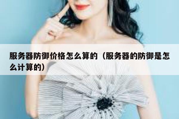 服务器防御价格怎么算的（服务器的防御是怎么计算的） 第1张