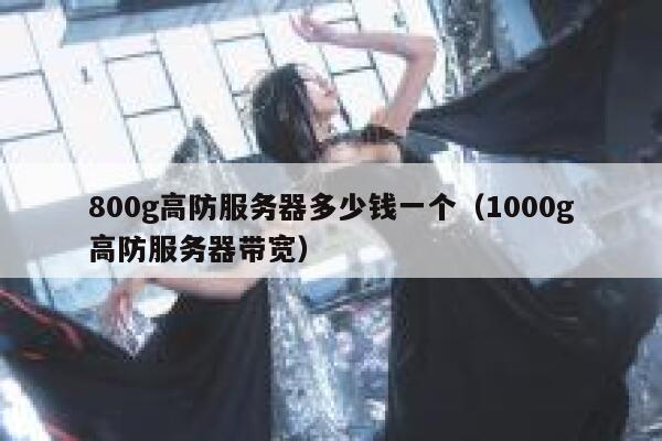 800g高防服务器多少钱一个（1000g高防服务器带宽） 第1张