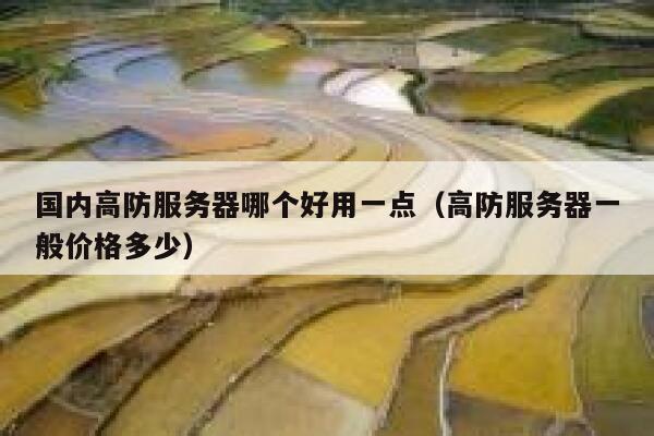 国内高防服务器哪个好用一点（高防服务器一般价格多少） 第1张