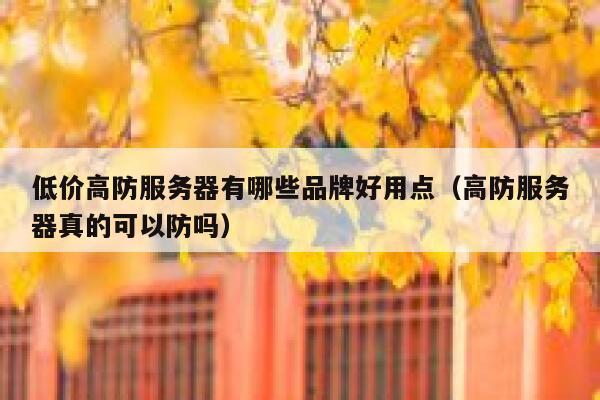 低价高防服务器有哪些品牌好用点（高防服务器真的可以防吗） 第1张