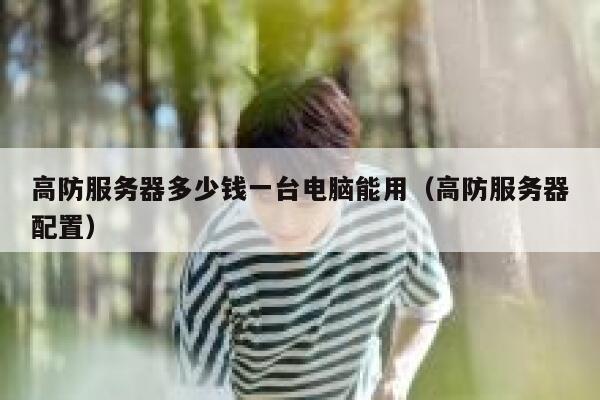 高防服务器多少钱一台电脑能用（高防服务器配置） 第1张