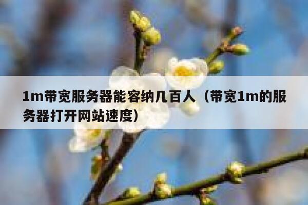 1m带宽服务器能容纳几百人（带宽1m的服务器打开网站速度） 第1张