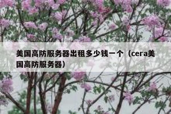 美国高防服务器出租多少钱一个（cera美国高防服务器） 第1张