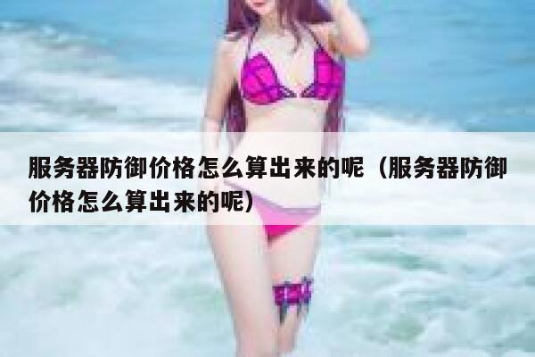 服务器防御价格怎么算出来的呢(服务器防御价格怎么算出来的呢) 第1张 服务器防御价格怎么算出来的呢(服务器防御价格怎么算出来的呢) 第1张