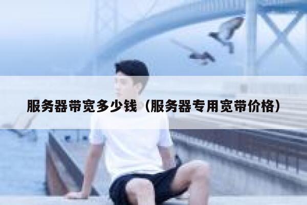 服务器带宽多少钱(服务器专用宽带价格) 第1张 服务器带宽多少钱(服务器专用宽带价格) 第1张