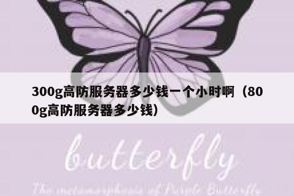 300g高防服务器多少钱一个小时啊（800g高防服务器多少钱） 第1张
