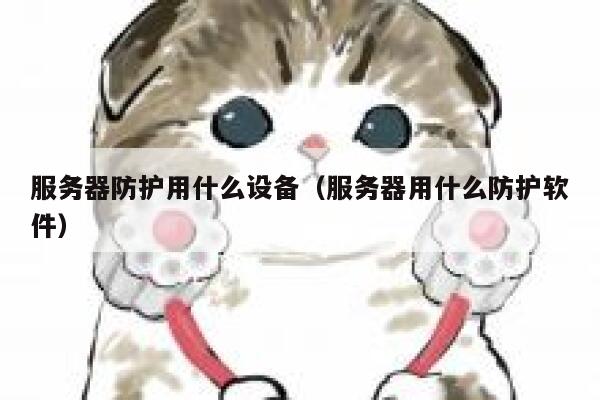 服务器防护用什么设备（服务器用什么防护软件） 第1张