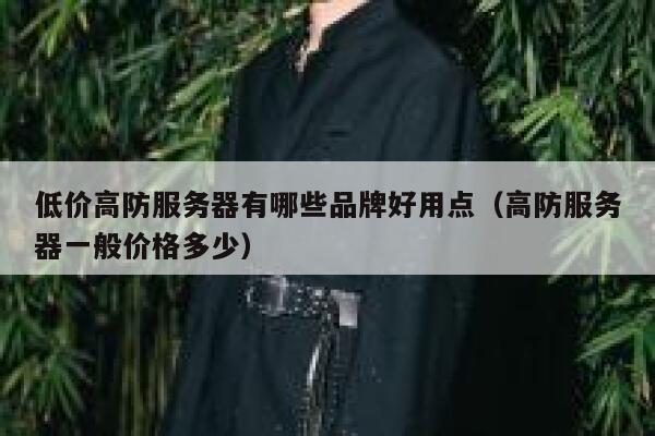 低价高防服务器有哪些品牌好用点（高防服务器一般价格多少） 第1张