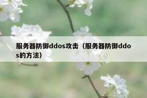 服务器防御ddos攻击（服务器防御ddos的方法） 第1张
