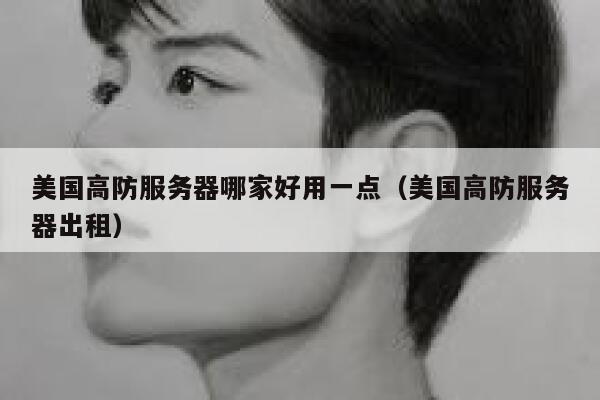 美国高防服务器哪家好用一点（美国高防服务器出租） 第1张