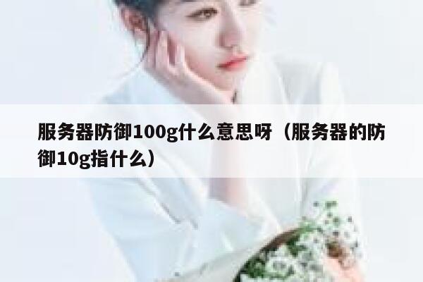 服务器防御100g什么意思呀（服务器的防御10g指什么） 第1张