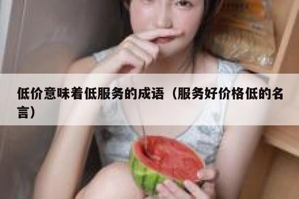 低价意味着低服务的成语（服务好价格低的名言） 第1张