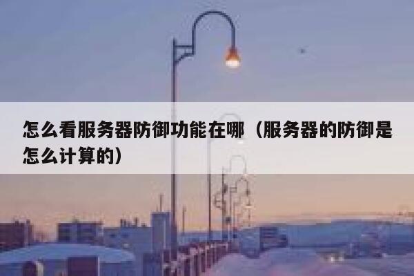 怎么看服务器防御功能在哪（服务器的防御是怎么计算的） 第1张
